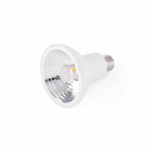 Faro Barcelona 17404 - Bombilla LED, 30º, 15W