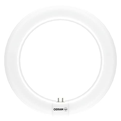 OSRAM Tubo LED T9, blanco luz diurna (6500K), 1200 lúmenes