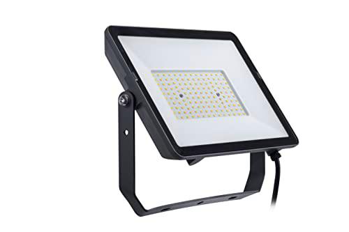 Philips Proyector LED Projectline [100 W, 3000 K, blanco] para iluminación comercial al aire libre