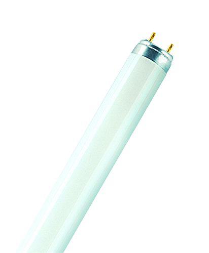 Osram 024540 Bombilla LED G13, Blanco, 8 Unidades