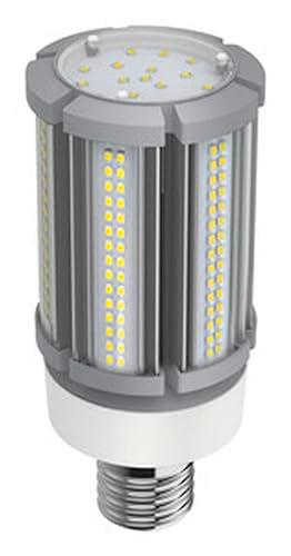 Bombilla LED profesional 55W E-40 DÍA