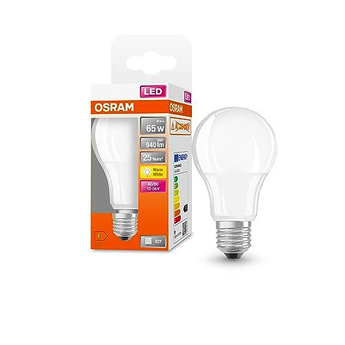 OSRAM Lámpara LED A65 bajo voltaje (12V-36V), optima para camping