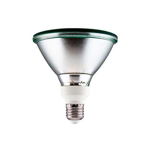 PRENDELUZ Lámpara led par38 E27 11W 6000K 825 lm verde