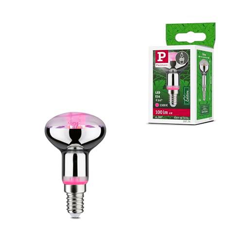 Paulmann Bombilla LED 28734 para plantas, bombilla de 4 W