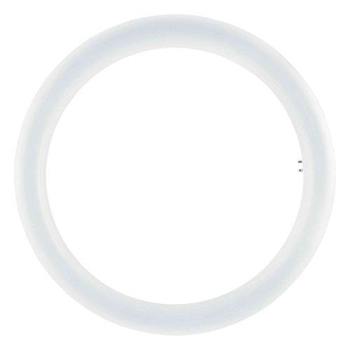 Osram - Lámpara led de repuesto, Base: G10q, 4000 K