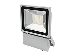 Eurolite 51914782 - Bombilla LED IP Fl-100, 3000 K